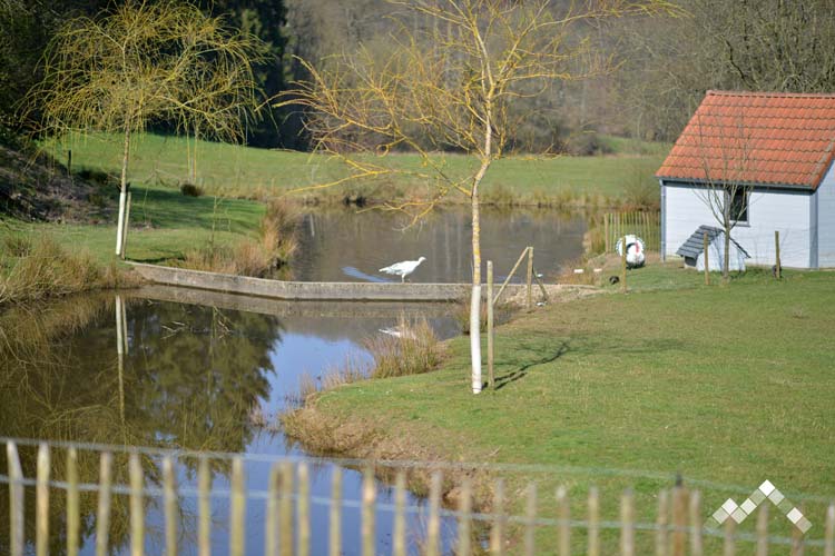  Maison de vacances pour 11 personnes à Chimay