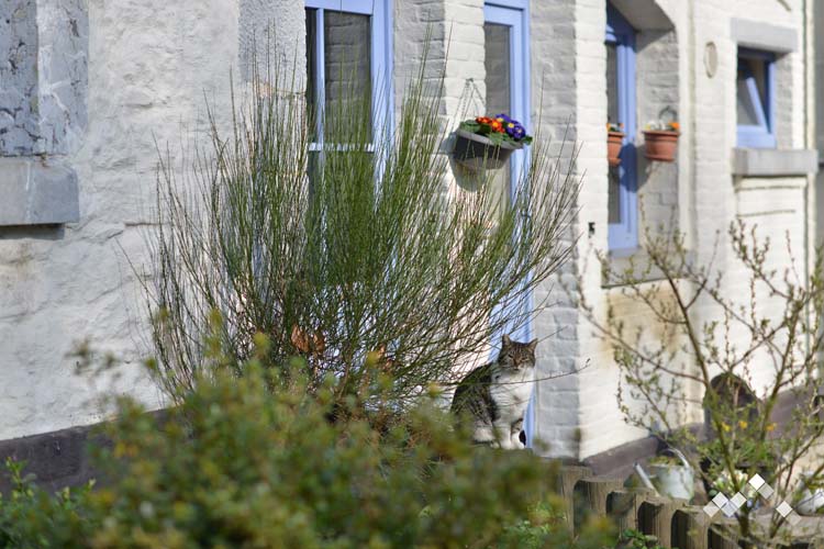  Maison de vacances pour 11 personnes à Chimay
