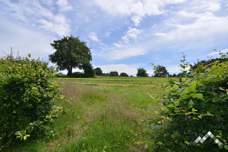 Villa proche de la forêt à Manhay pour 14 personnes et 1 chien avec sauna, billard, kicker et module de jeux