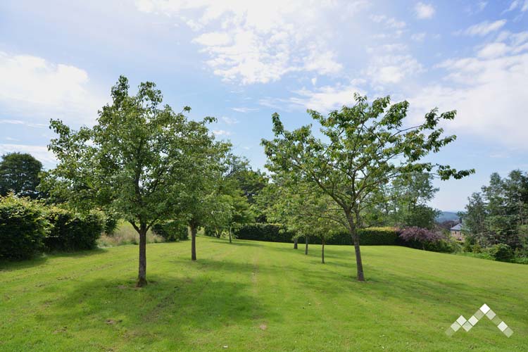 Villa proche de la forêt à Manhay pour 14 personnes et 1 chien avec sauna, billard, kicker et module de jeux