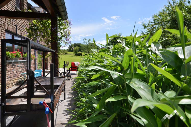 Villa proche de la forêt à Manhay pour 14 personnes et 1 chien avec sauna, billard, kicker et module de jeux