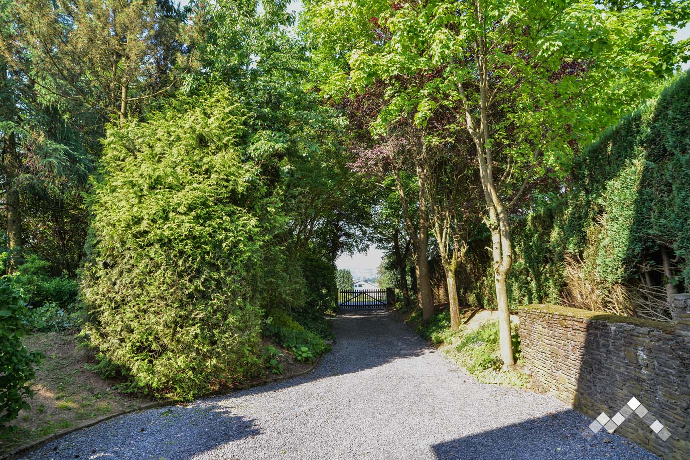 Maison de vacances à Vielsalm pour 9 personnes et 2 chiens avec sauna, billard, salle et module de jeux