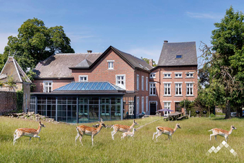 Landhuis in Hastière voor 23 personen (+1 baby) en 1 hond met zwembad, sauna, speelkamer en damhertenpark