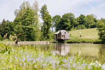 Boomhut aan het water in Havelange voor 2 personen