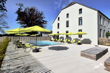 Gîte de grande capacité à Chassepierre pour 50 personnes et 2 chiens avec piscine, sauna, billard et pétanque