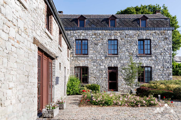 Gîte de charme dans un hameau proche à Durbuy pour 11 personnes (+3 bébés) et 1 chien avec piscine et ping-pong 
