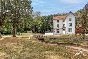 Villa de luxe à Mettet pour 20 personnes avec piscine, étangs, billard, jeux intérieurs et extérieurs